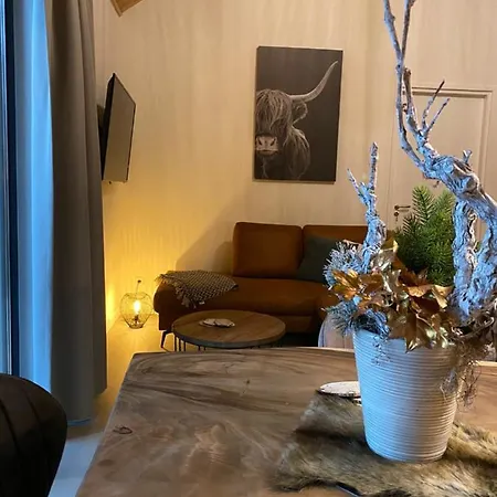 アパートホテル Apartmentshaus Dual - 2 ヘルマゴル