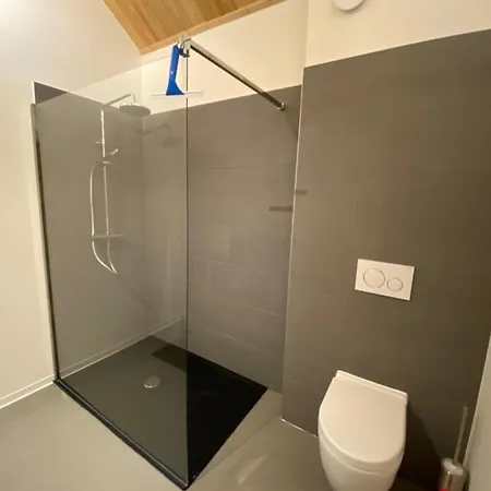 Apartmentshaus Dual - 2 4* 黑马戈尔