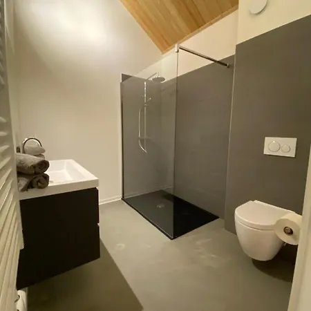 Apartmentshaus Dual - 2 公寓式酒店 黑马戈尔