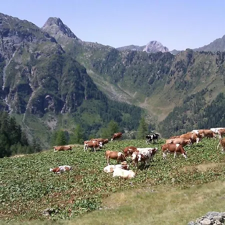 Ξενοδοχείο με διαμερίσματα Apartmentshaus Dual - 2 4*